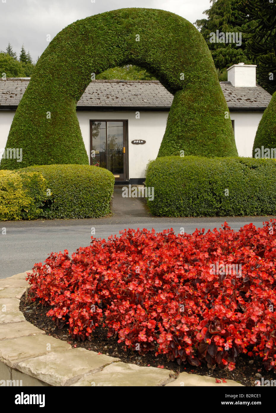 Entrance made out of box trees to a house in Laragh, Wicklow Mountains, Ireland Stock Photo