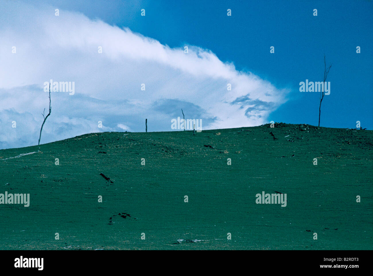 barren landscape during a drought australia Stock Photo