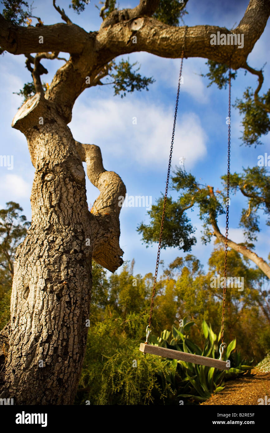 Wooden swing to hang from tree new arrivals