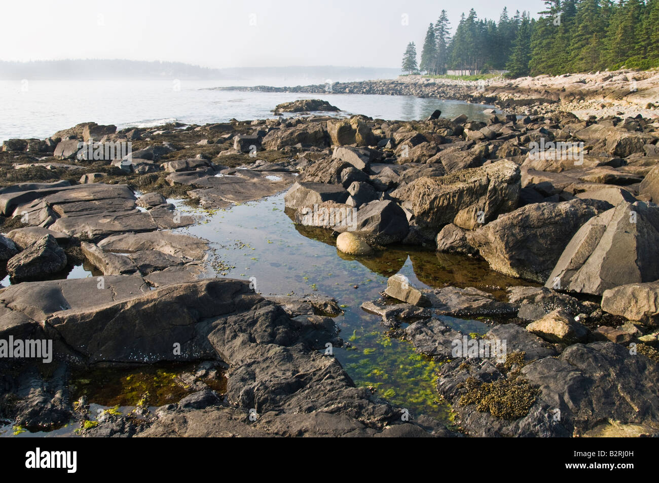 Fog rolling in on a rocky Maine seacoast landscape. Stock Photo