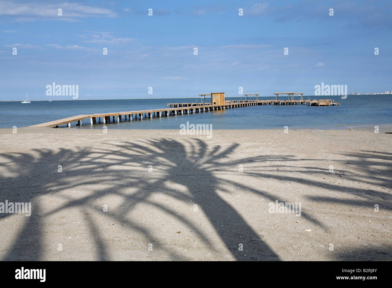 Palm tree shadow Stock Photo - Alamy