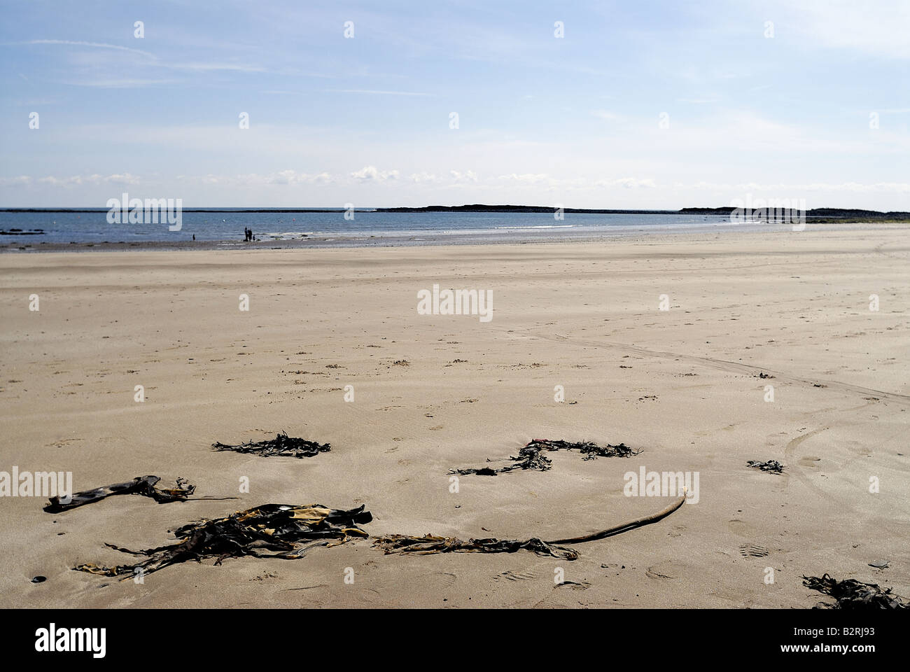 Low Newton beach Stock Photo Alamy