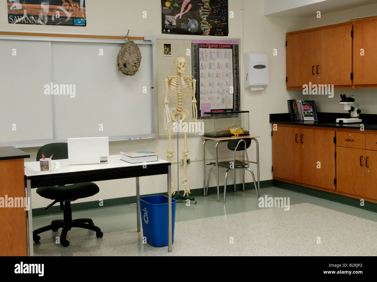 A modern science classroom with a teacher desk laptop and science posters Stock Photo