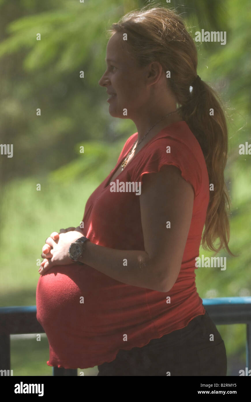 Pregnant woman seen through window screen Stock Photo