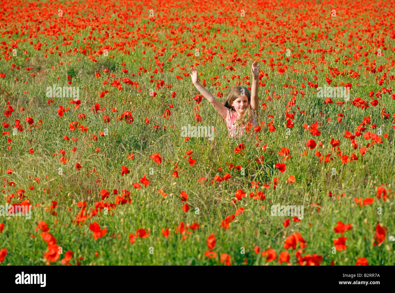 Eight year old girl with arms aloft in a poppy field. Stock Photo