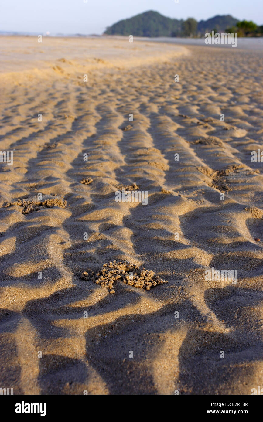 Sand balls made by Sand Bubble Crab at Chendering beach in Kuala