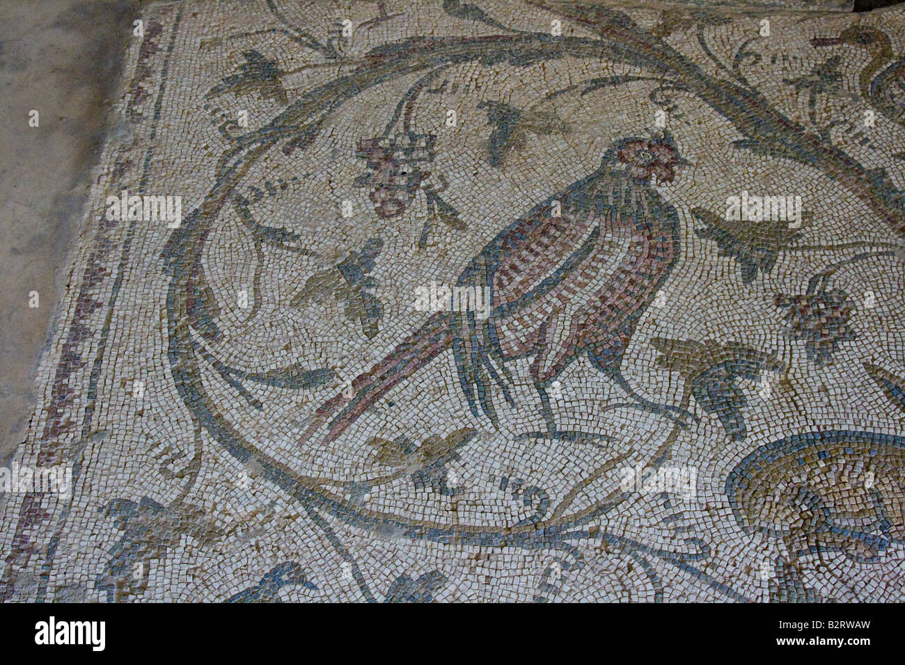 Roman Tile Mosaic in the Museum in Apamea Syria Stock Photo