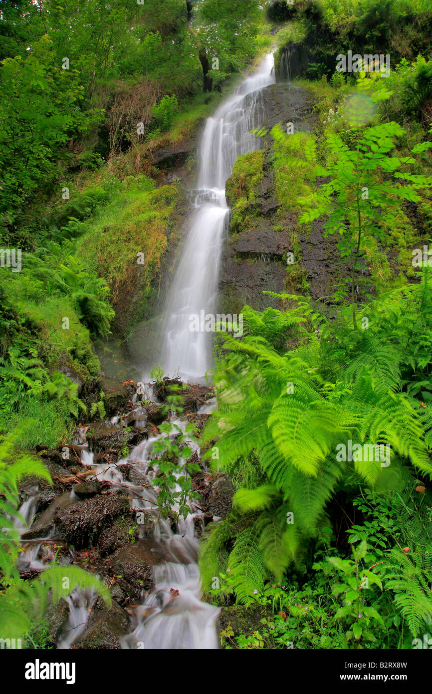 Canonteign Waterfalls the highest waterfalls in England Chudleigh