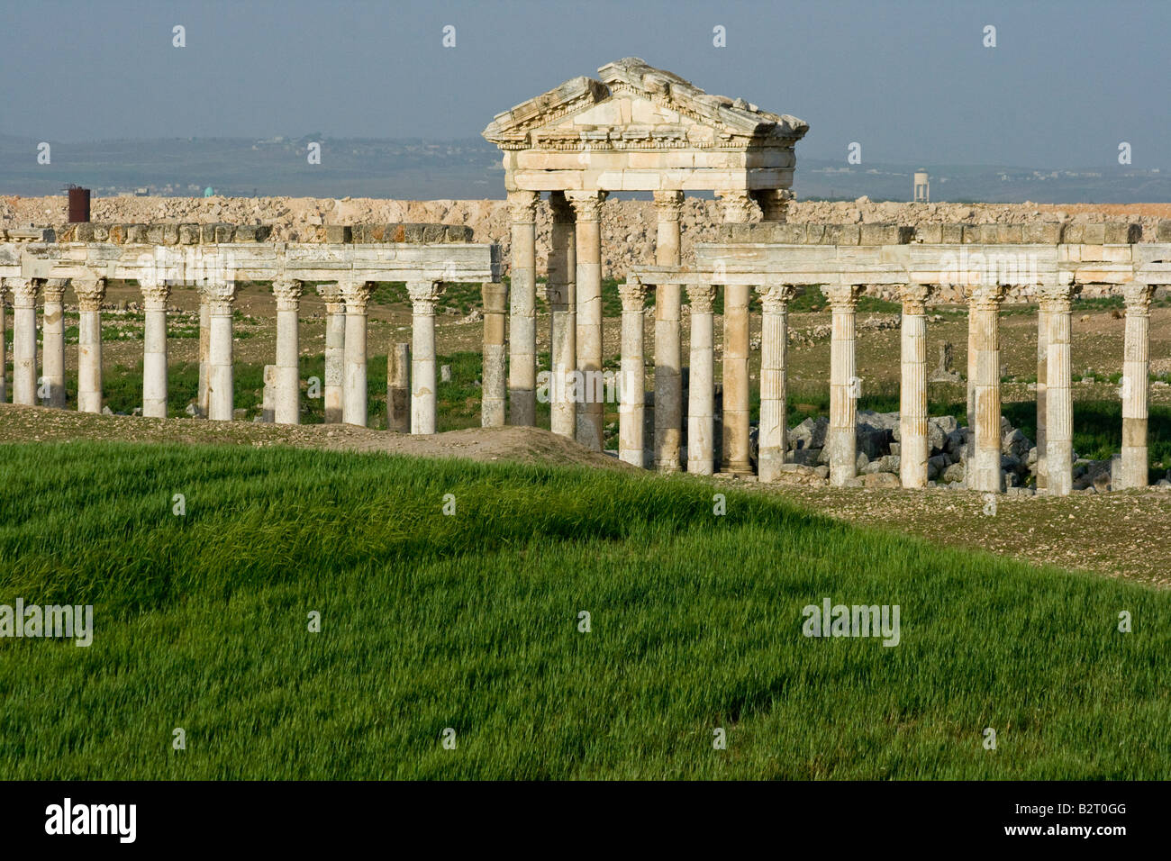 Collonade roman ruins in syria hi-res stock photography and images - Alamy