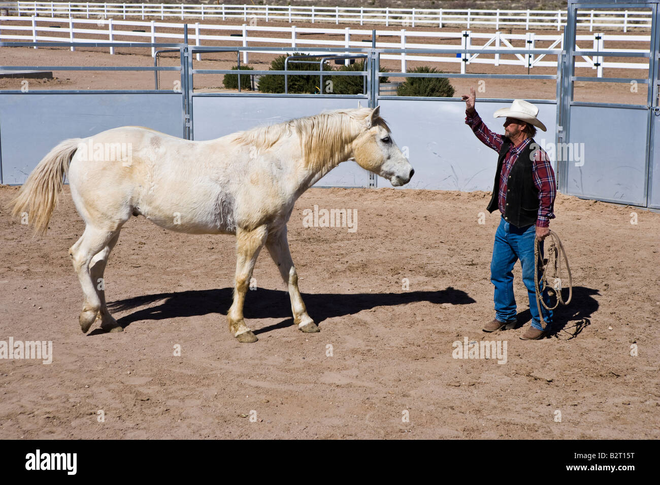Horsemanship - horse being trained by cowboy trainer New Mexico USA Stock Photo