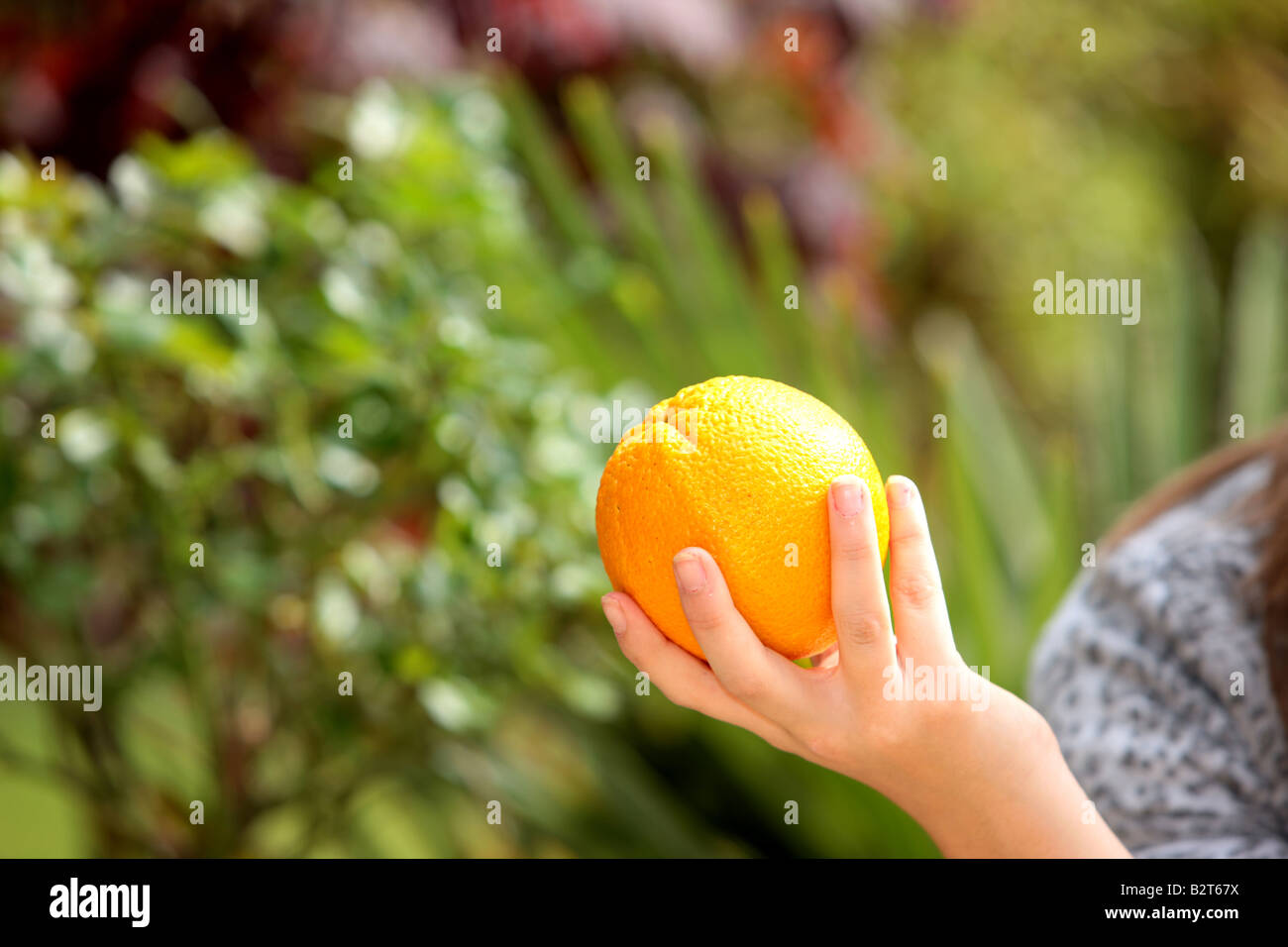 Girl Holding Orange Model Released Stock Photo - Alamy