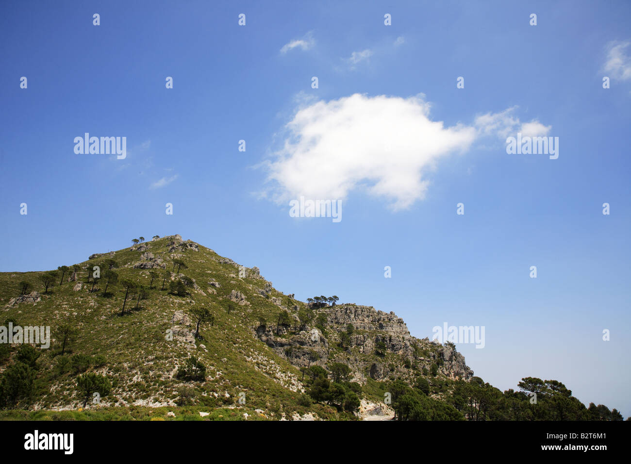 Sierra del Chaparral Andalucia Spain Stock Photo