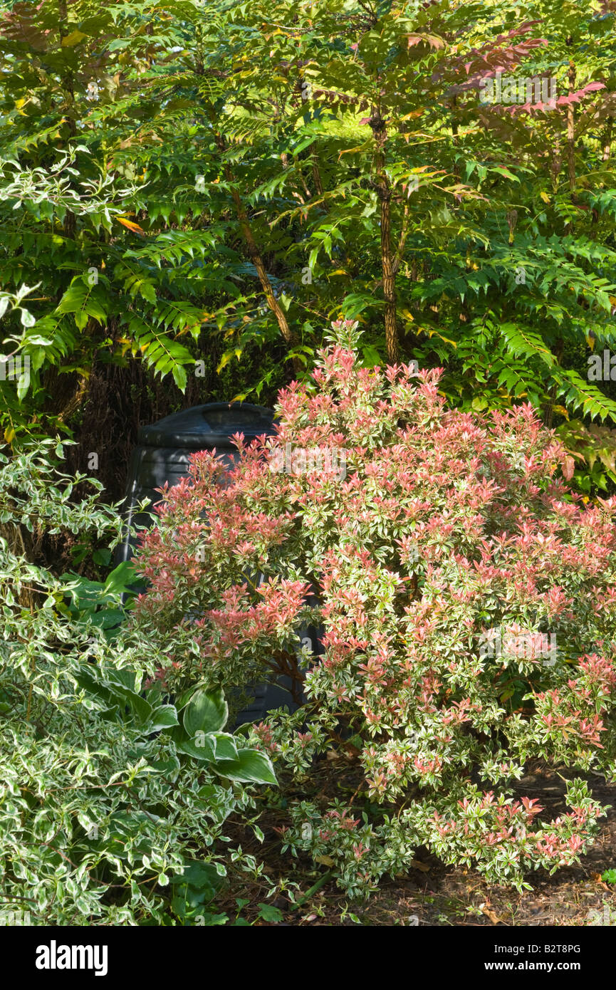 Conservation Recycling Compost bin among ornamental shrubs garden Adel