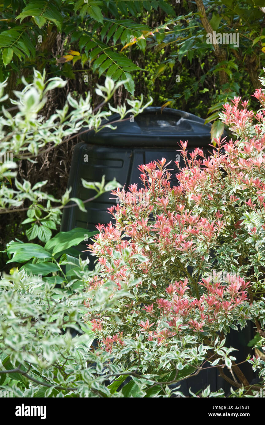 Conservation Recycling Compost bin among ornamental shrubs garden Adel