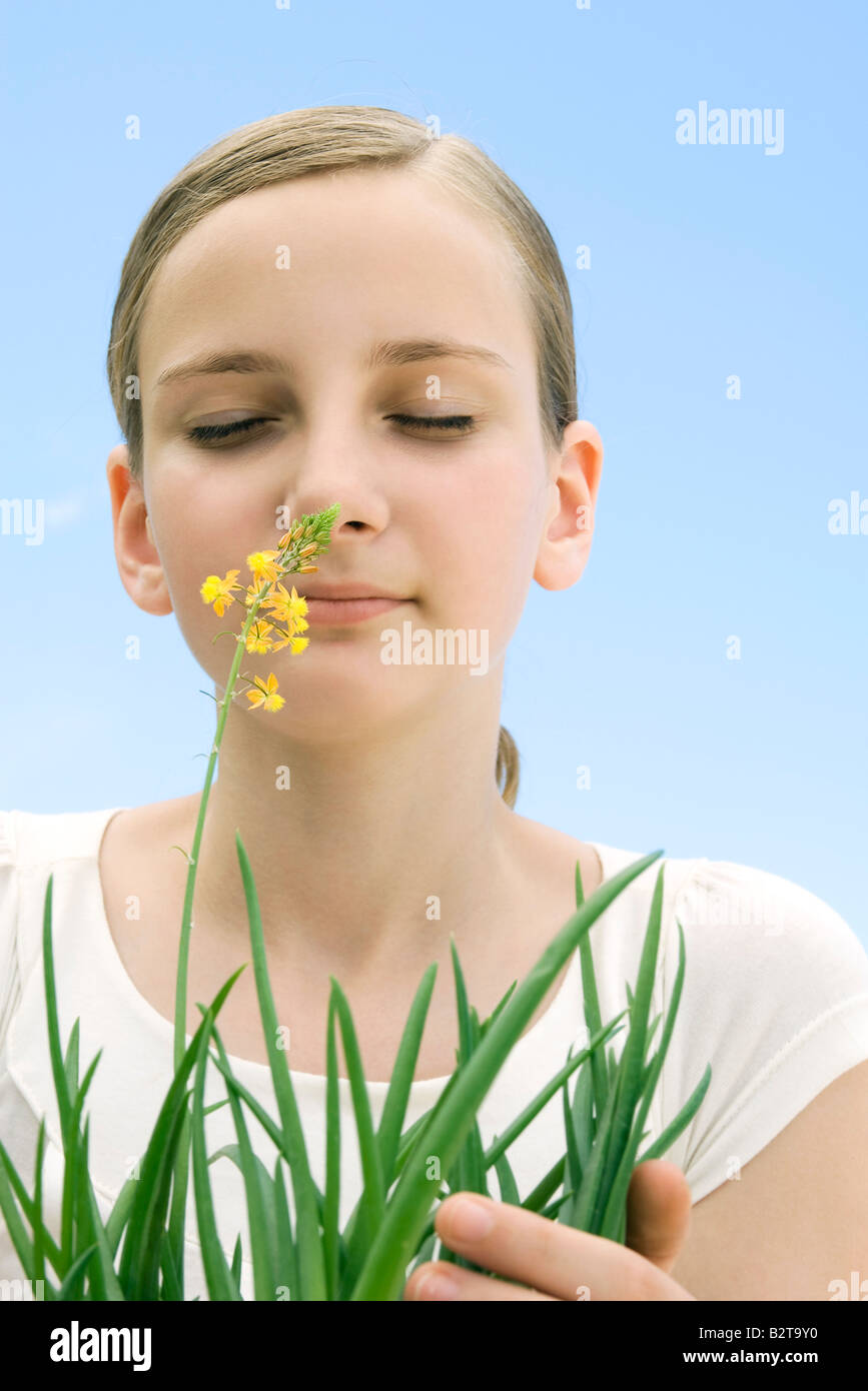 Girl smelling flower Stock Photo Alamy