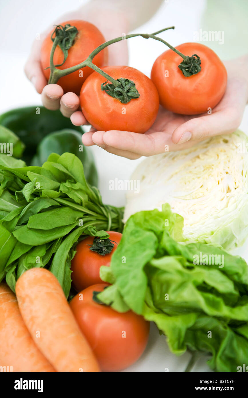 Hands holding vine tomatoes, assorted fresh vegetables in foreground