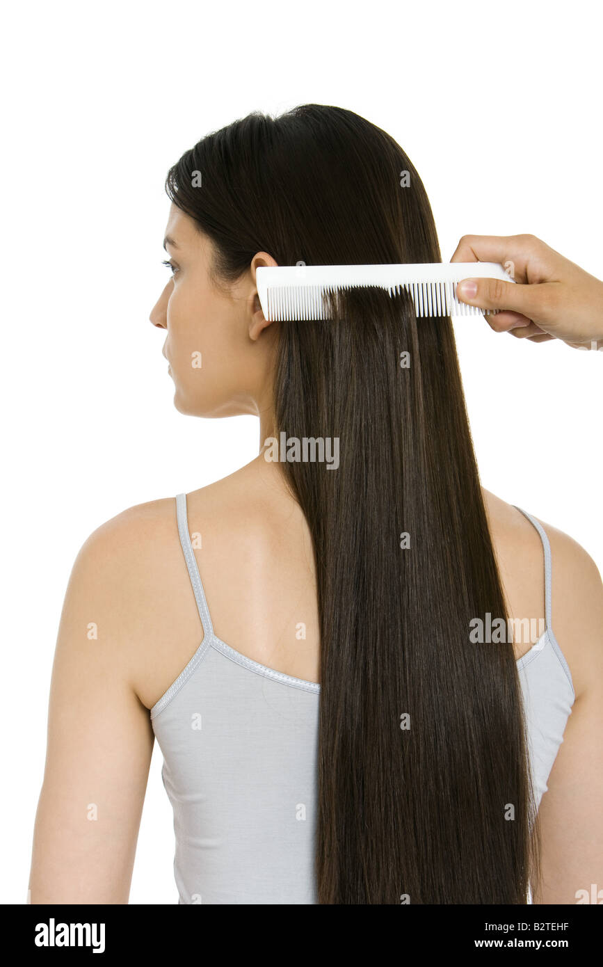 Woman having her long hair combed, rear view Stock Photo