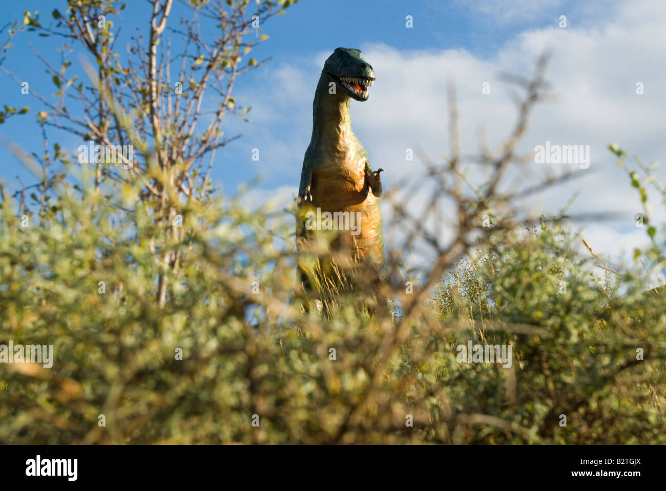 Replica of tarbosaurus dinosaur at Valdecevillo site in ENCISO La Rioja region Spain Stock Photo