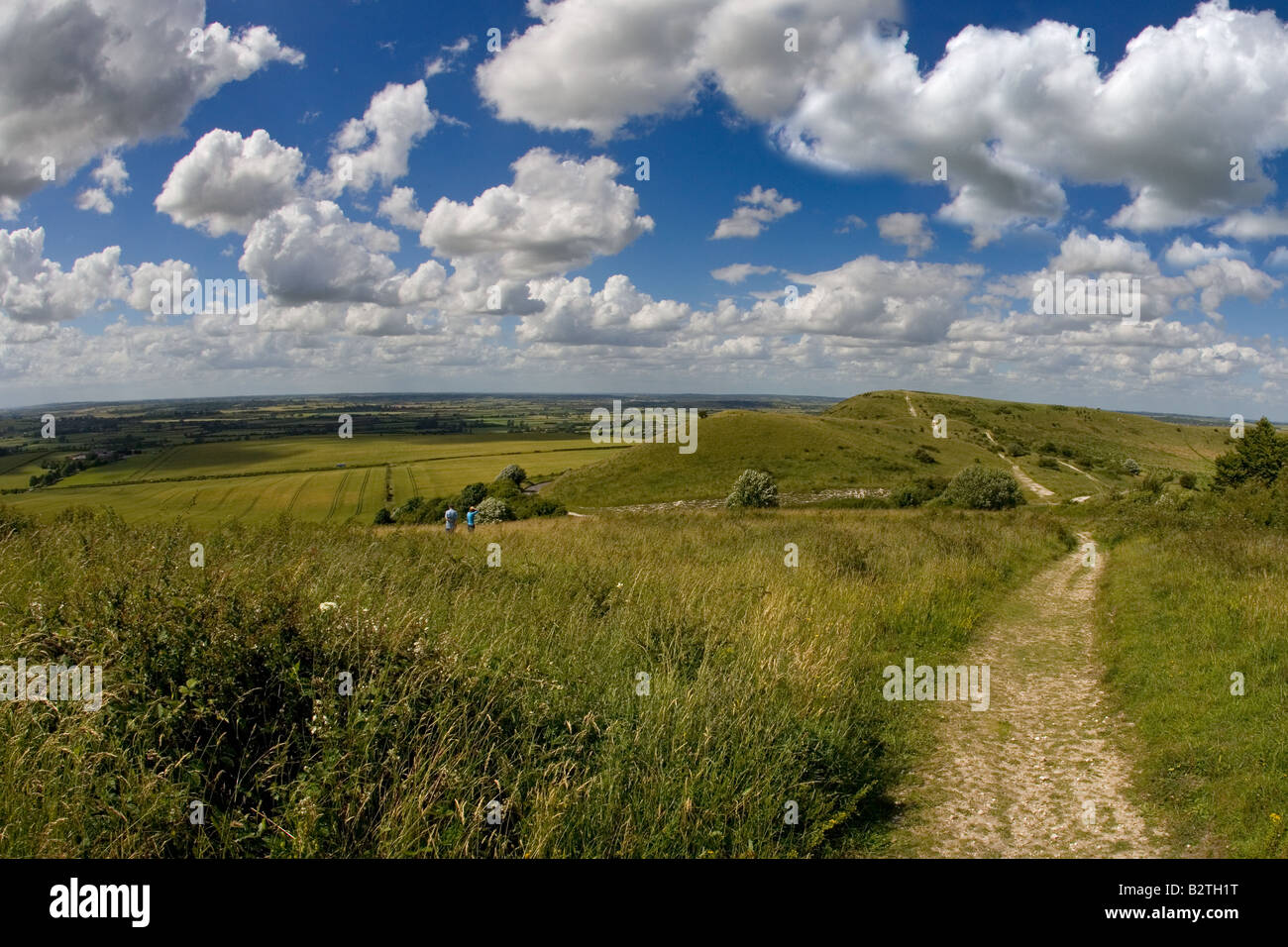 The Ridgeway Long Distance Path At Ivinghoe Beacon In The Chiltern ...