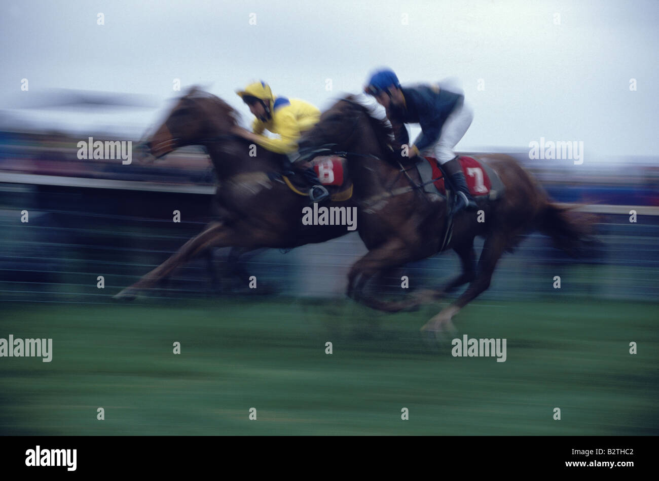 Jockeys at full speed at Dingle races, Dingle, County Kerry, Ireland Stock Photo