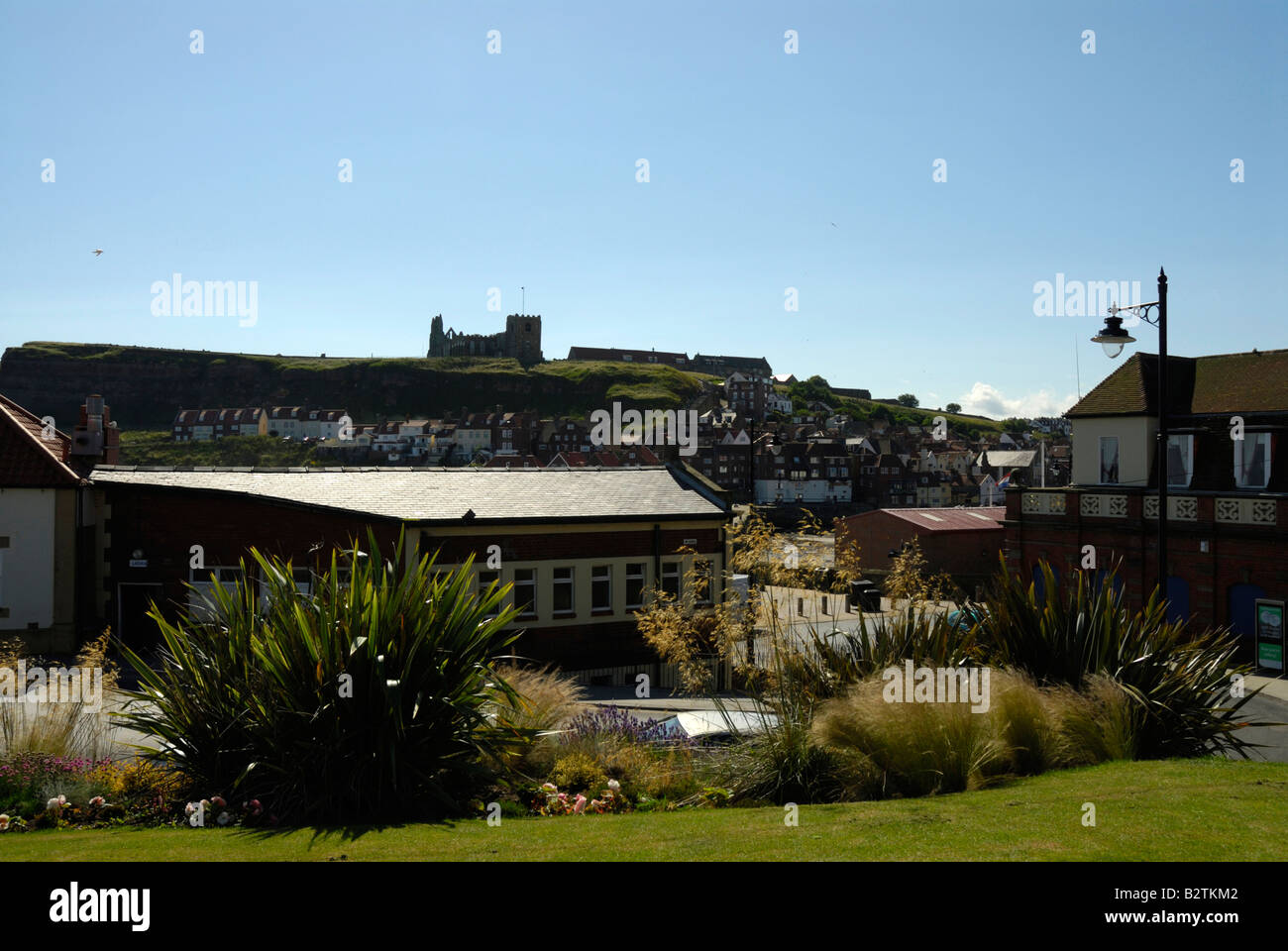 Whitby north yorkshire and abbey Stock Photo