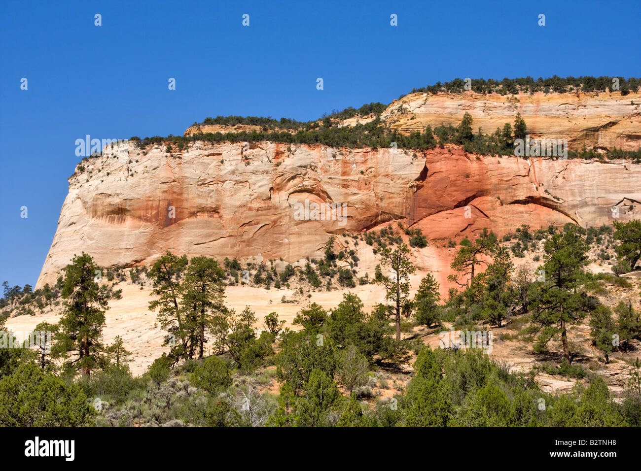Checkerboard formation hi-res stock photography and images - Alamy