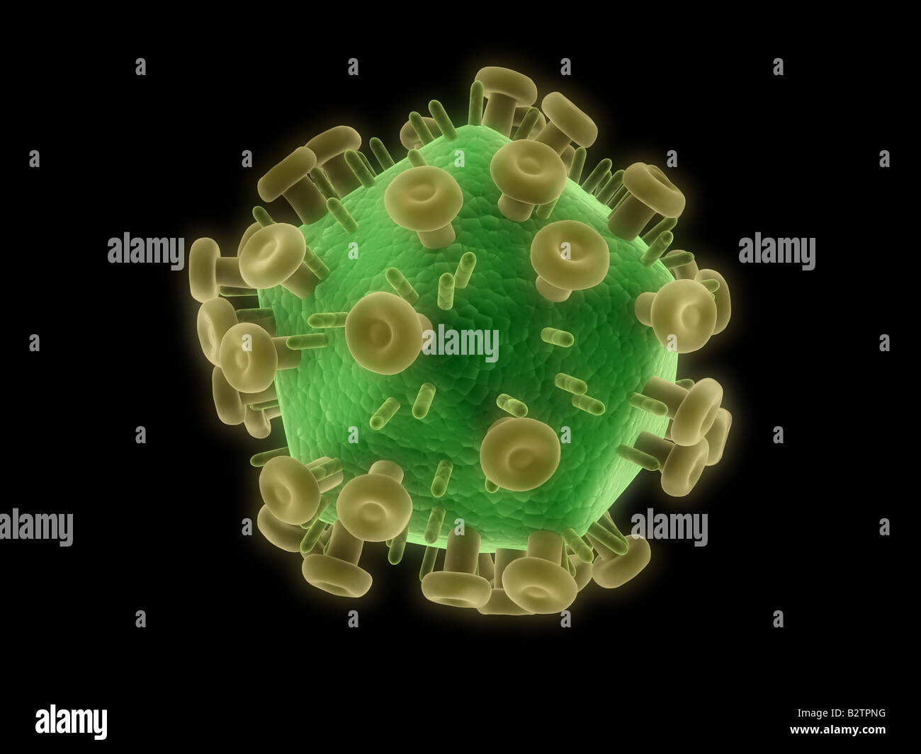 Hi virus hiv aids hi-res stock photography and images - Alamy