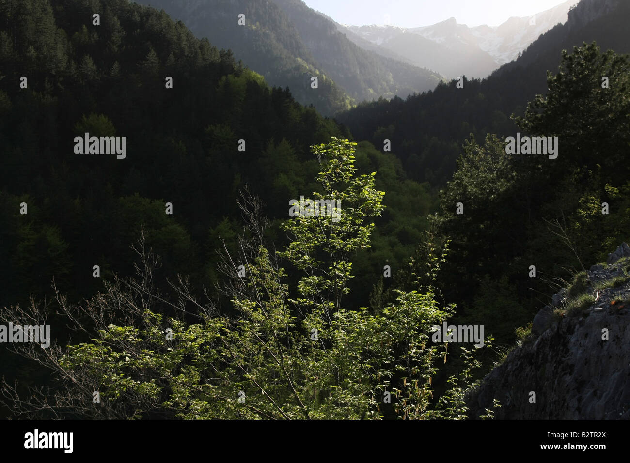 Greece Macedonia Mount Olympus National Park Stock Photo