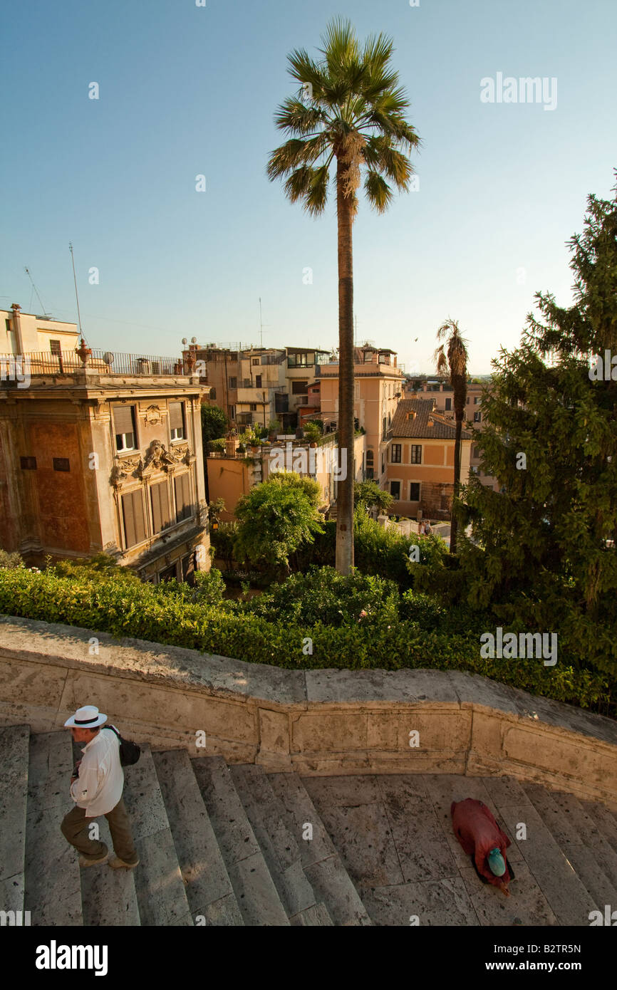A beggar and a man with a hat under a palm tree on the Spanish Steps in Rome, Italy Stock Photo