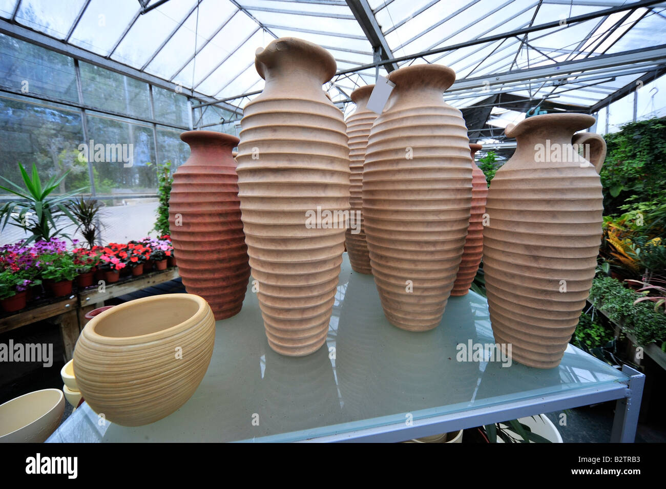 flowers in a garden centre Stock Photo Alamy