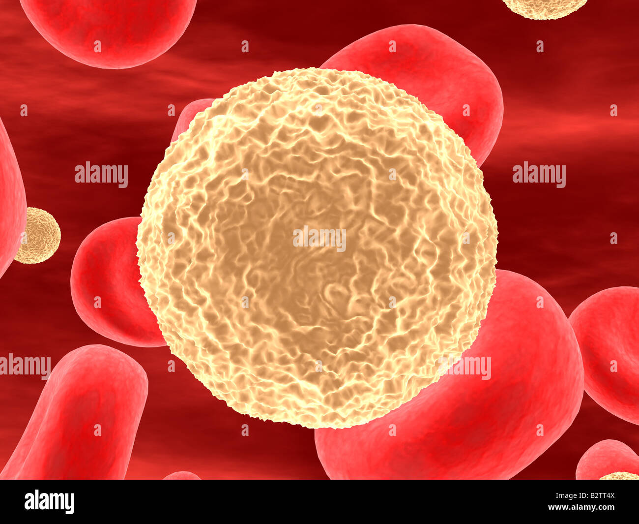 T killer cells hi-res stock photography and images - Alamy