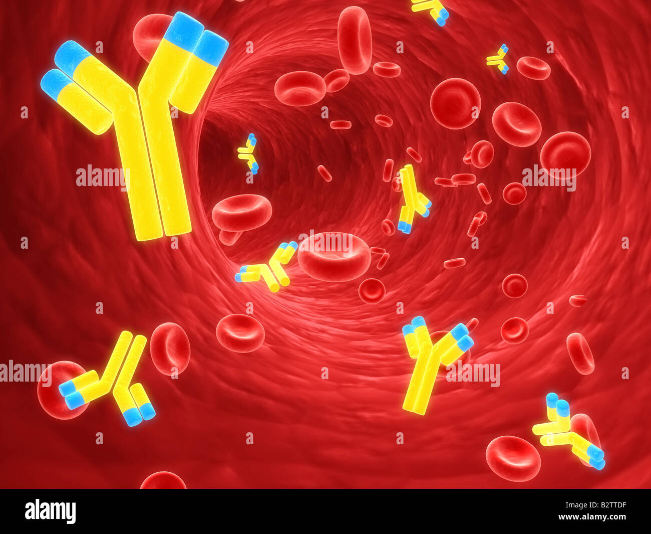 Red cell antibodies hires stock photography and images Alamy