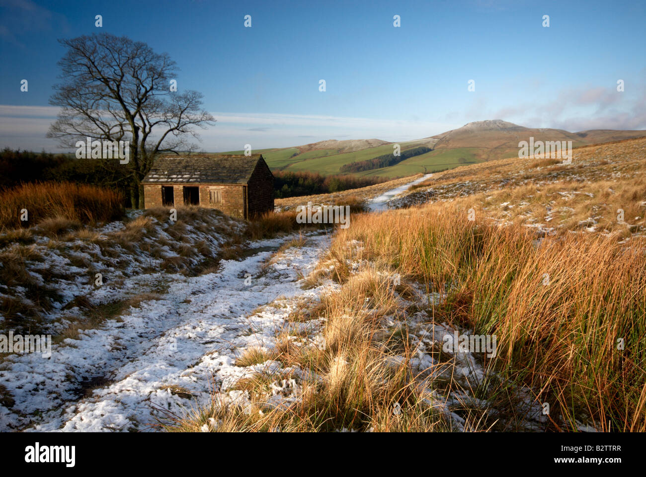 Barn At Shutlinsloe In Winter Wildboarclough Cheshire, Peak District National Park UK Stock Photo