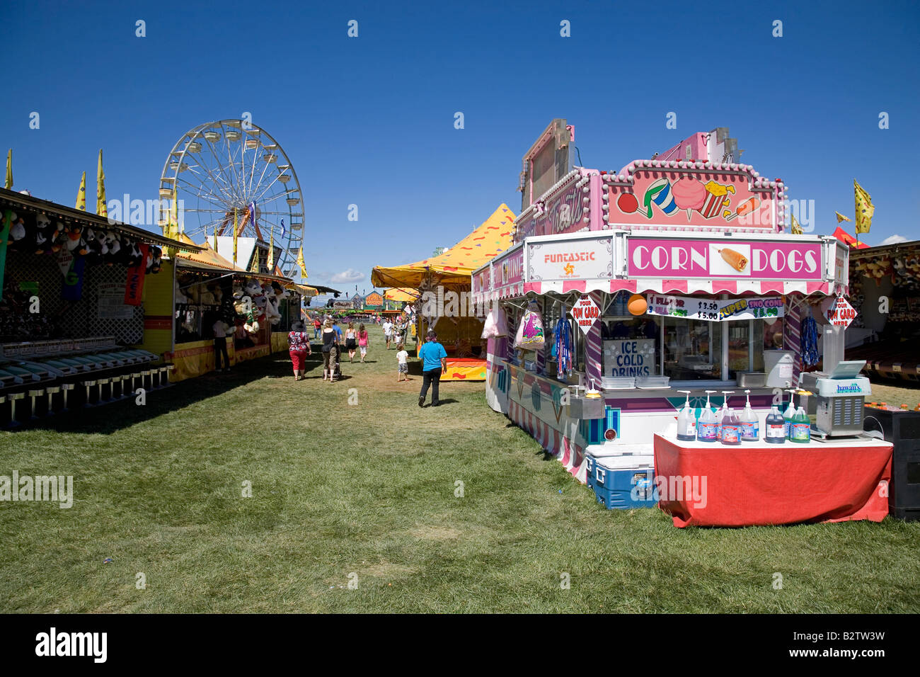 Redmond Fair 2025 Diana Davidson