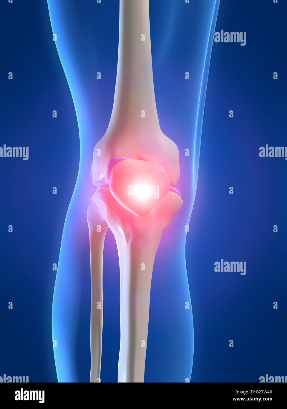 pain in knee Stock Photo Alamy