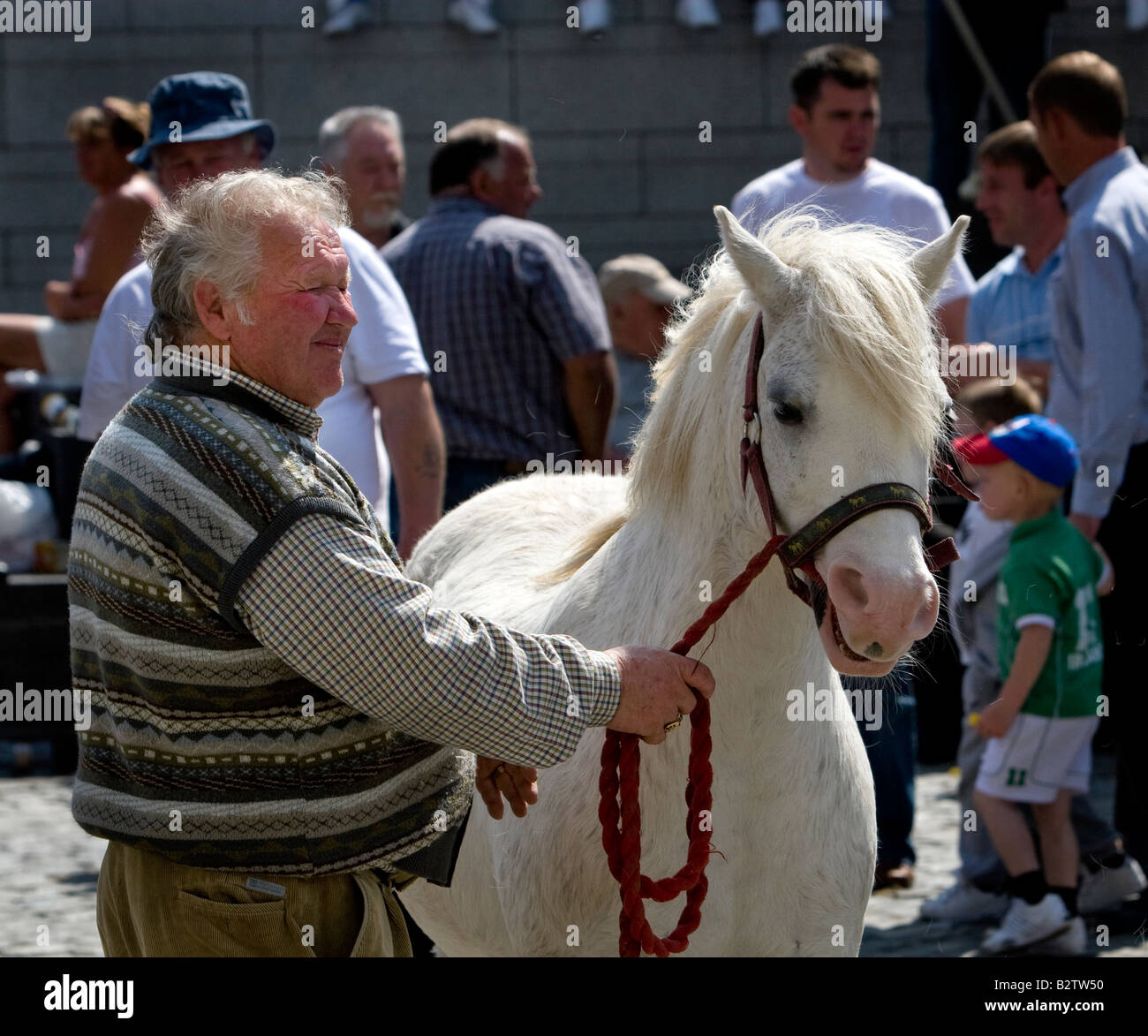 Man And Pony At Smithfield Horse Market Dublin Stock Photo Alamy
