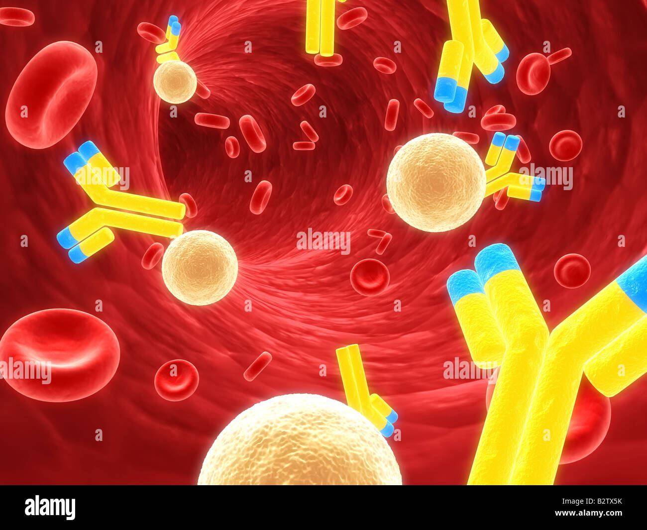 Human t cells hi-res stock photography and images - Alamy