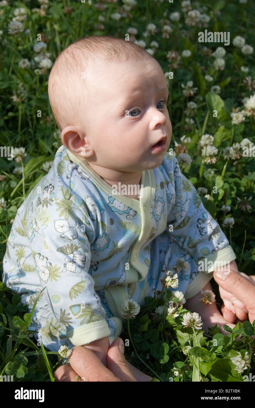 Baby Boy Joshua Kailas Hudson Aged 15 Weeks Practicing Sitting in a Field of Green Clover with White Flowers Stock Photo