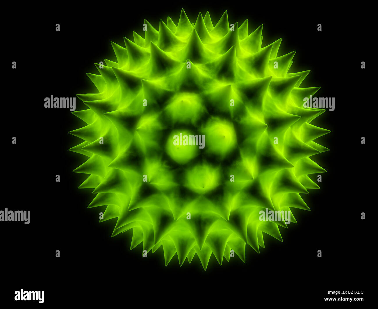 isolated pollen Stock Photo