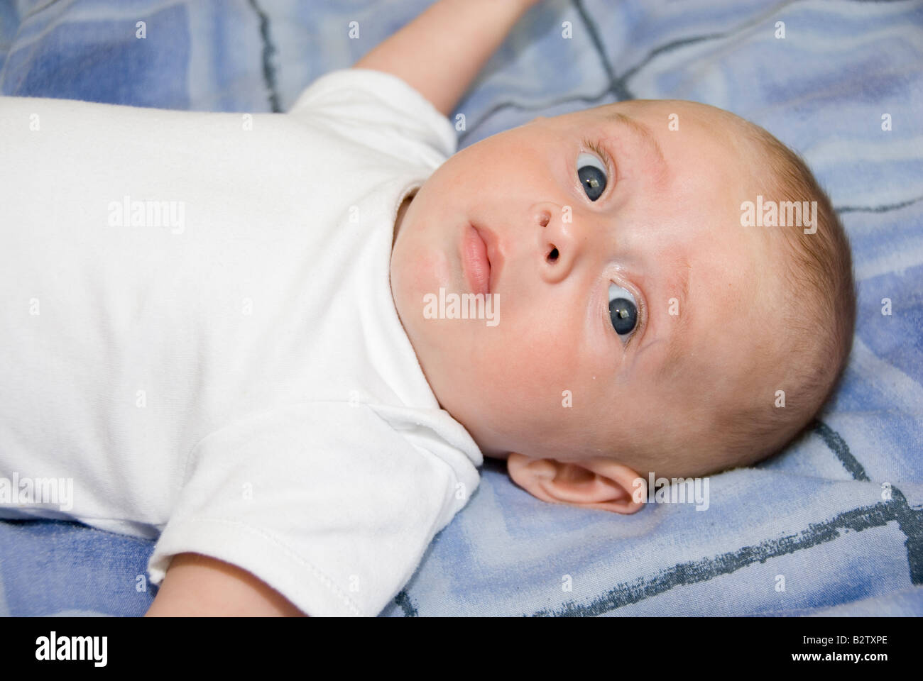 Baby Boy Joshua Kailas Hudson Aged 15 Weeks Lying on a Blue Bed Cover Looking Up Stock Photo