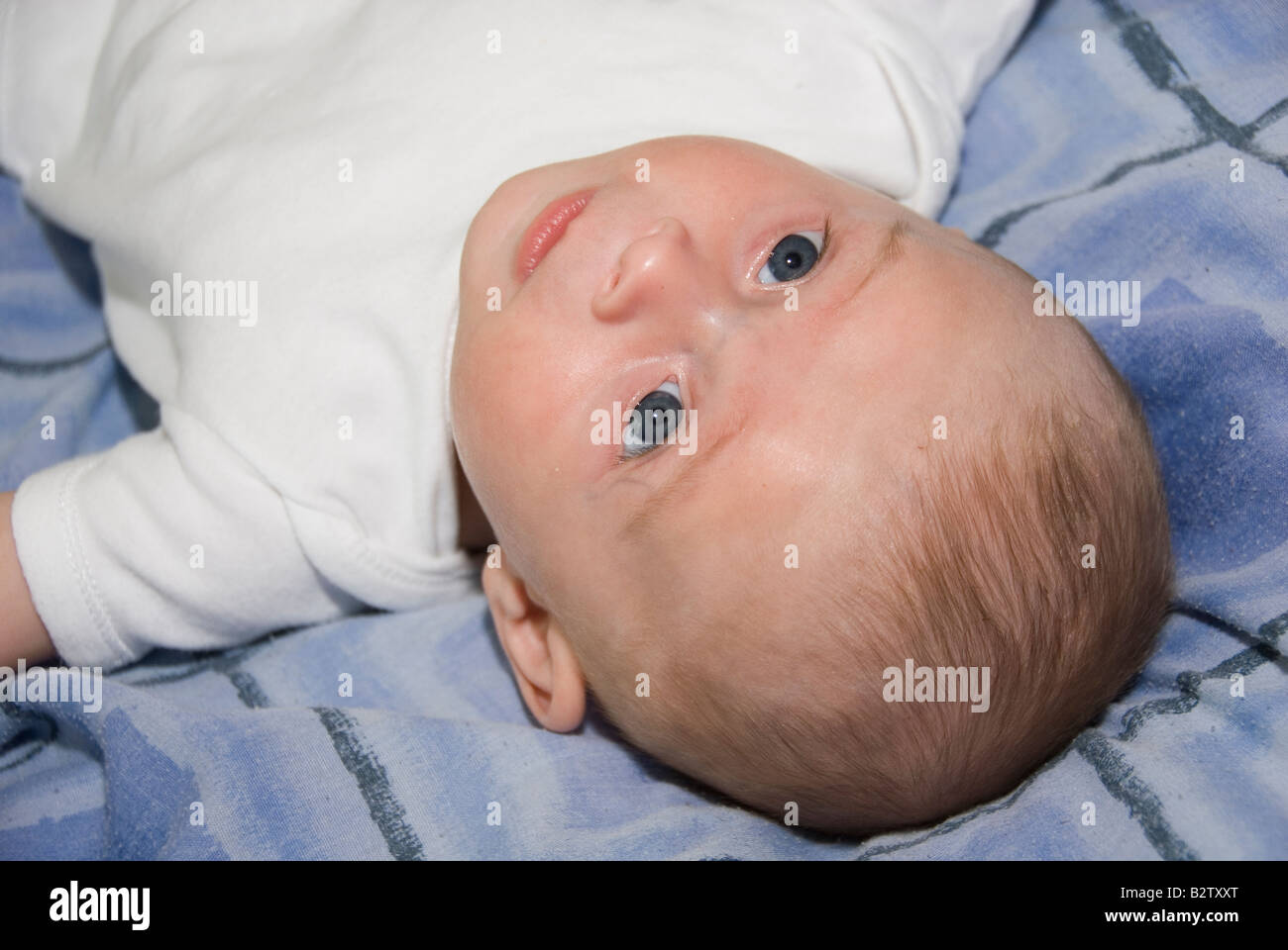 Baby Boy Joshua Kailas Hudson Aged 15 Weeks Lying on a Blue Bed Cover Looking Up Behind Stock Photo