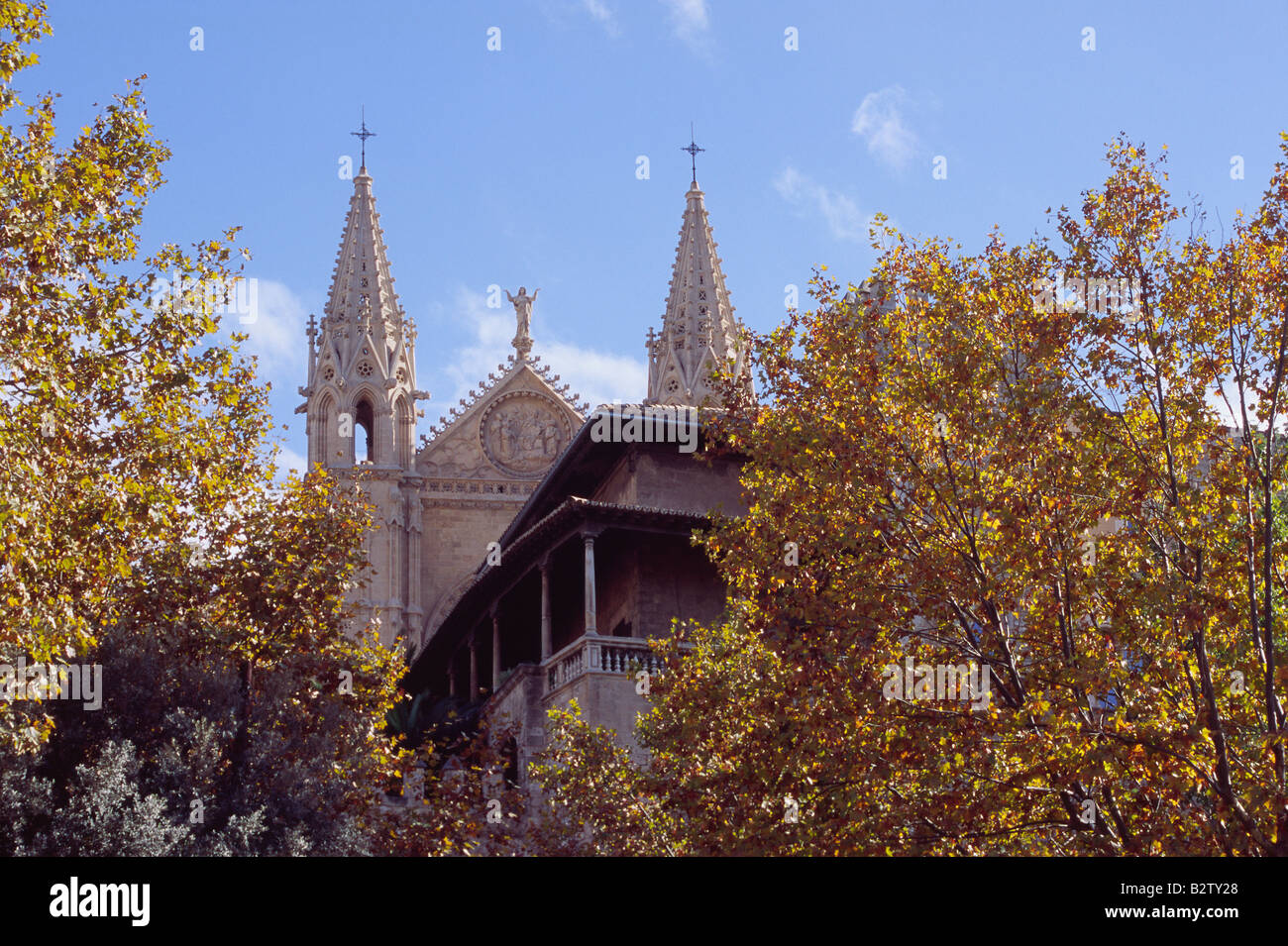 Palma Cathedral Majorca Viewed Over Autumnal Trees Stock Photo - Alamy