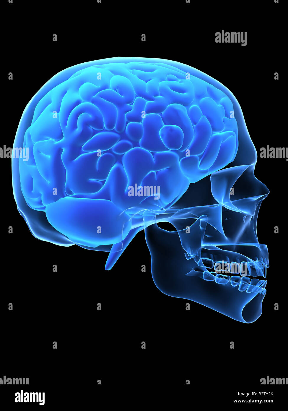 Test head hires stock photography and images Alamy