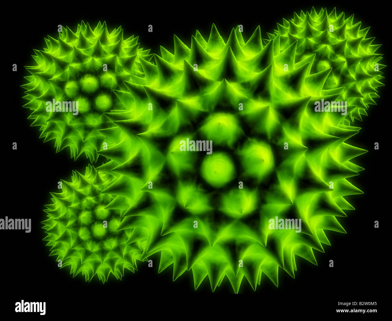 isolated pollen Stock Photo