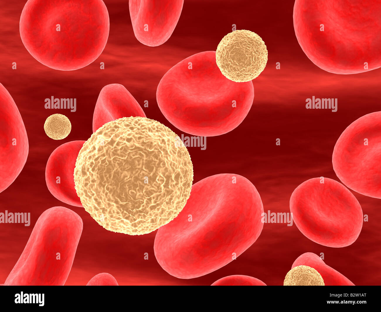 T killer cells hi-res stock photography and images - Alamy