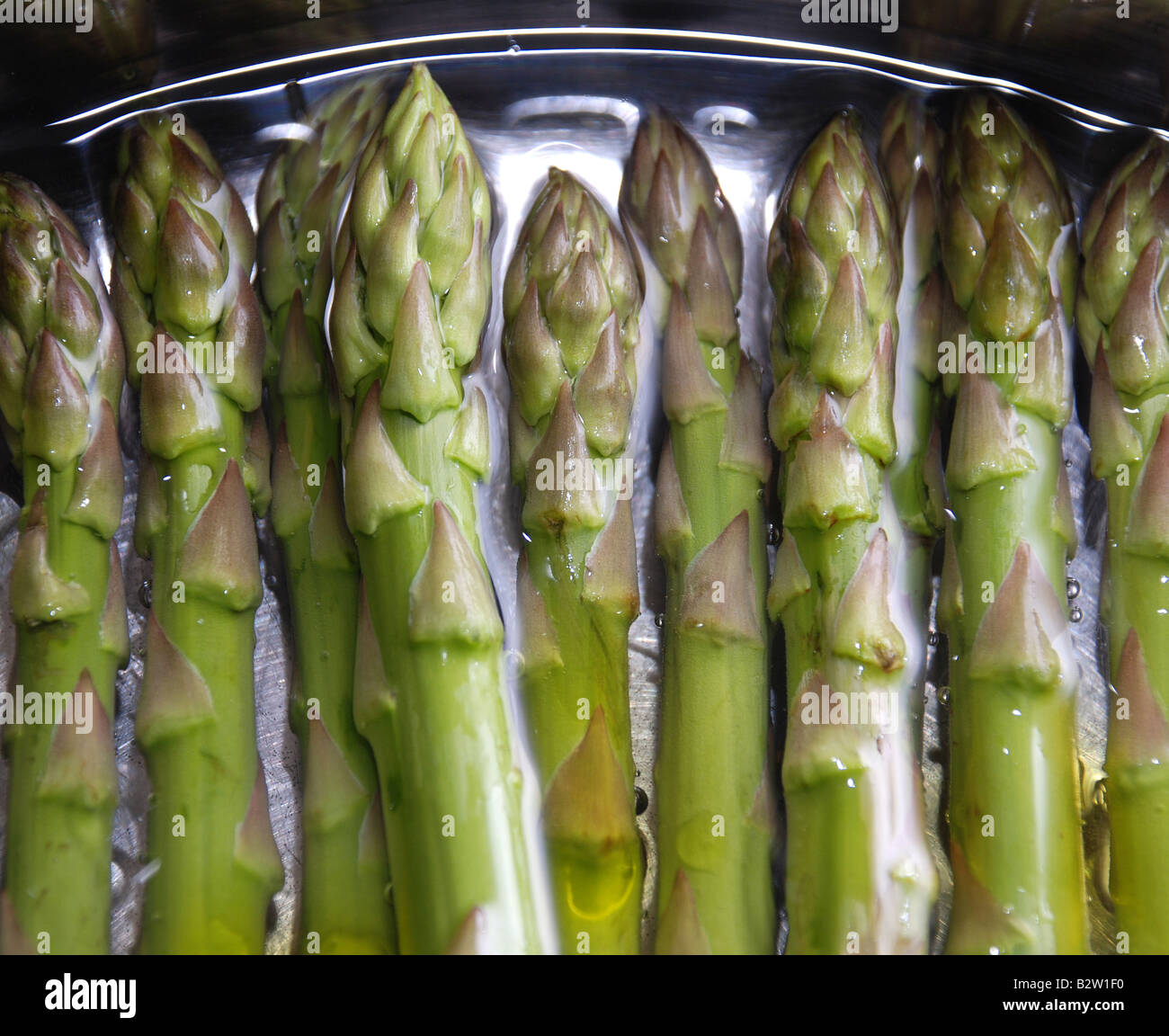 Boiling Asparagus in water and oil Stock Photo Alamy