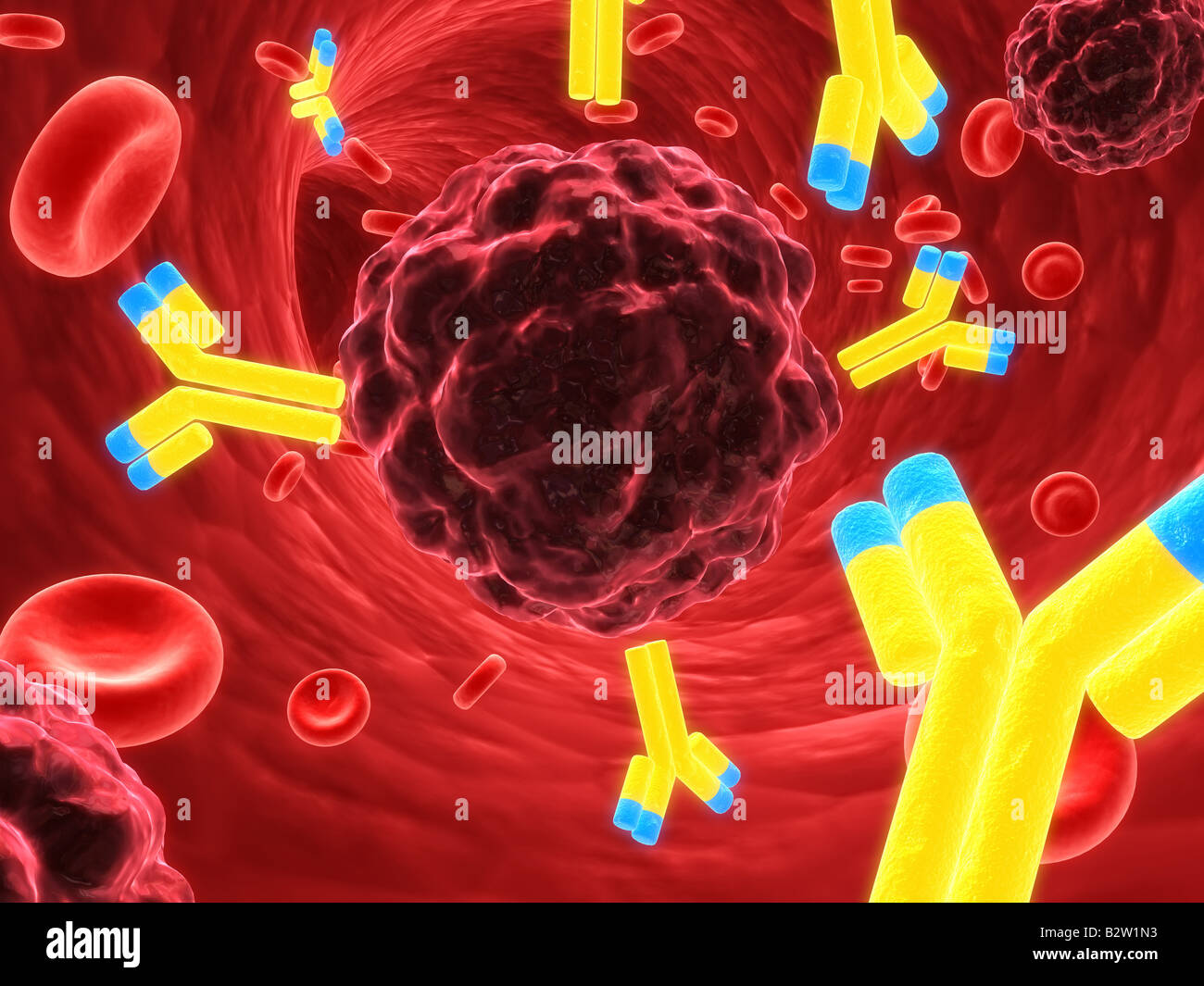 antibodies attacking a cancer cell Stock Photo Alamy