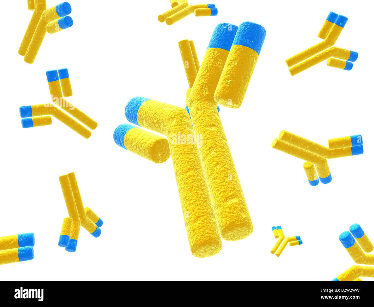 Cell and antibodies hi-res stock photography and images - Alamy
