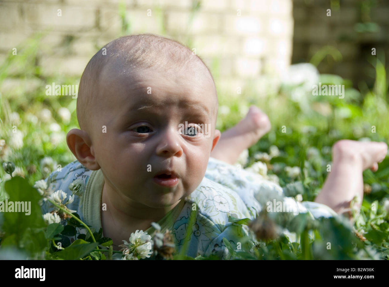 Baby Boy Joshua Kailas Hudson Aged 15 Weeks Lying in Green Clover with