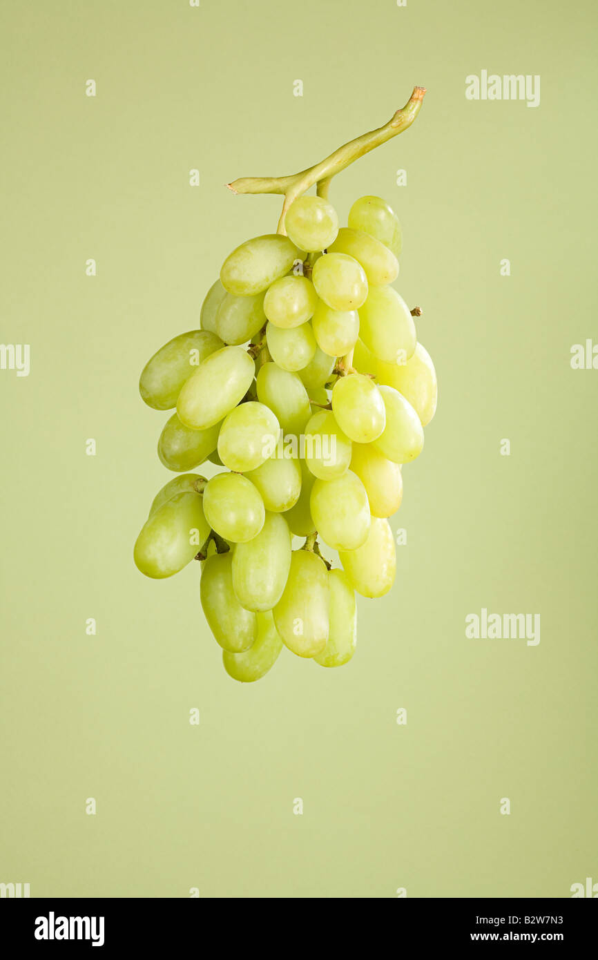 Grapes Stock Photo Alamy